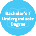 Bachelor’s or undergraduate degree