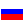British Guardianship in Russian